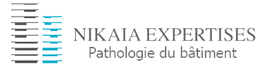 NIKAIA EXPERTISES